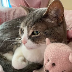 Meet your Posher, Leah